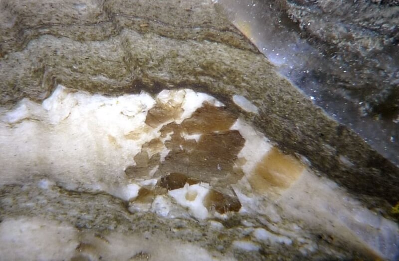 Acto de presentación de la fontarnauita, el nuevo mineral descubierto por expertos de los Centros Científicos y Tecnológicos de la UB y la Facultad de Geología