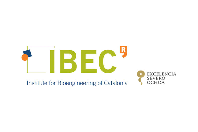 IBEC receives Severo Ochoa Excellence Award