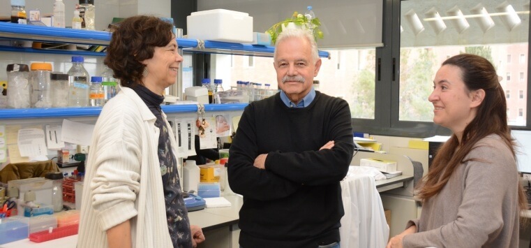 Researchers find a gene that causes Opitz C syndrome in the only patient diagnosed in Catalonia