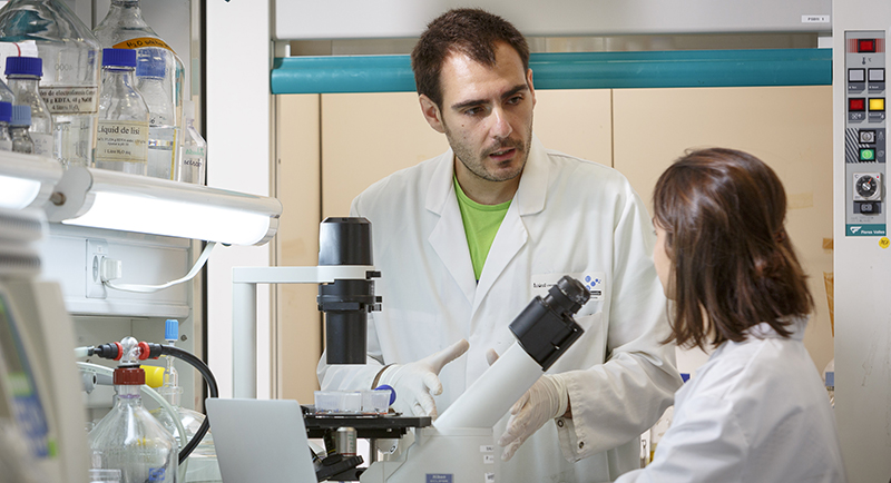 S’obre la convocatòria de la 16a edició de Passa l’estiu al Parc!