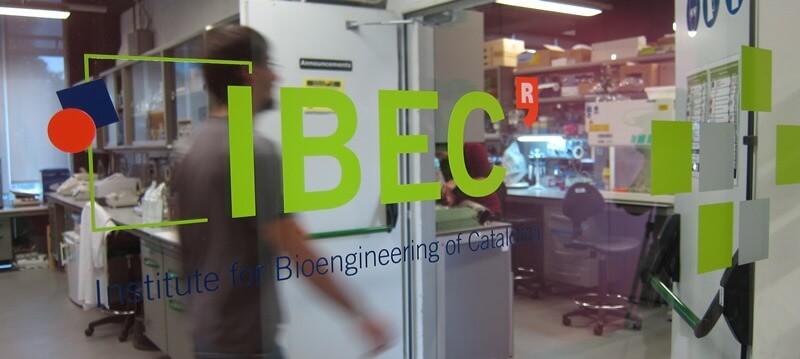 Alianza entre eI IBEC y FEDER para impulsar la investigación en enfermedades raras