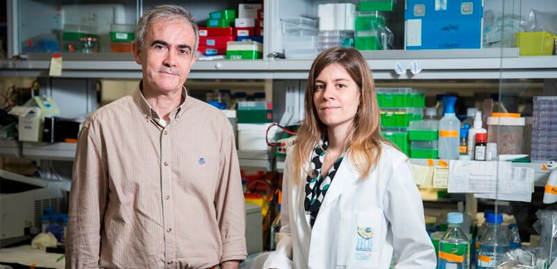 Tumour cells evade death through in extremis DNA repair