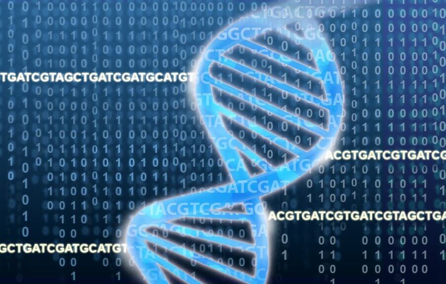 Identificados nuevos genes relacionados con el riesgo de sufrir cáncer