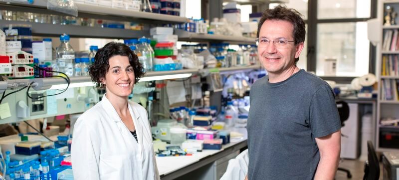 Discovery of a key protein involved in the development of autism