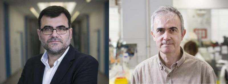 IRB Barcelona has been awarded two ERC Proof of Concept to tackle colon cancer and cardiotoxicity