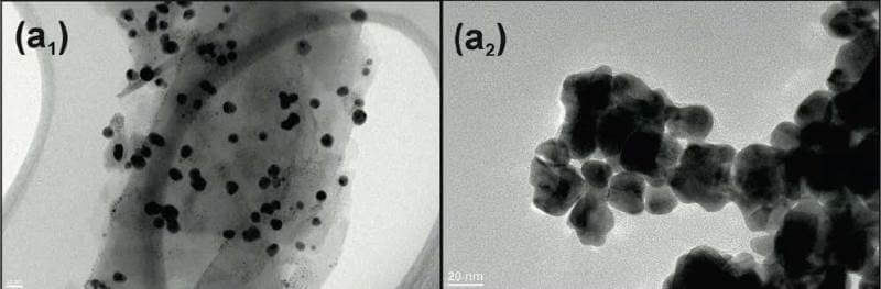Un pas endavant en l’ús de nanopartícules per combatre la resistència bacteriana