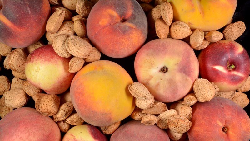 The sequence of the almond tree and peach tree genomes will be key tools in their genetic improvement and adaptation to climate change
