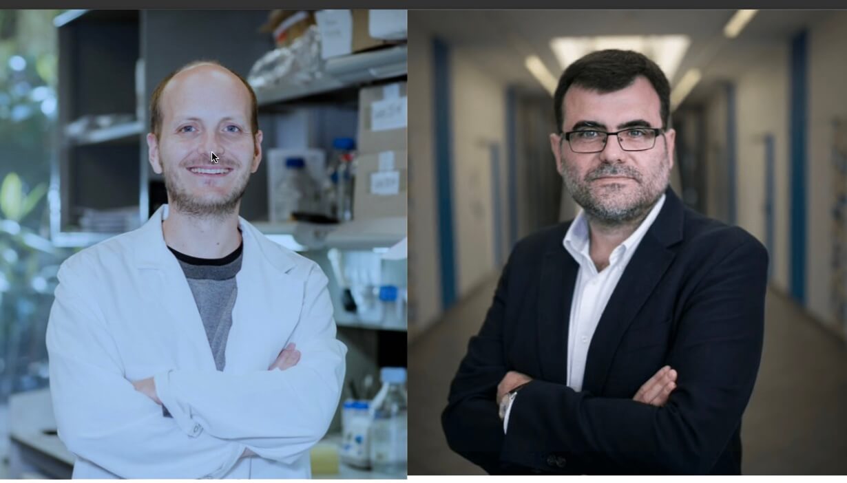 Researchers Xavier Trepat at IBEC and Eduard Batlle at IRB Barcelona receive an ERC Advanced Grant