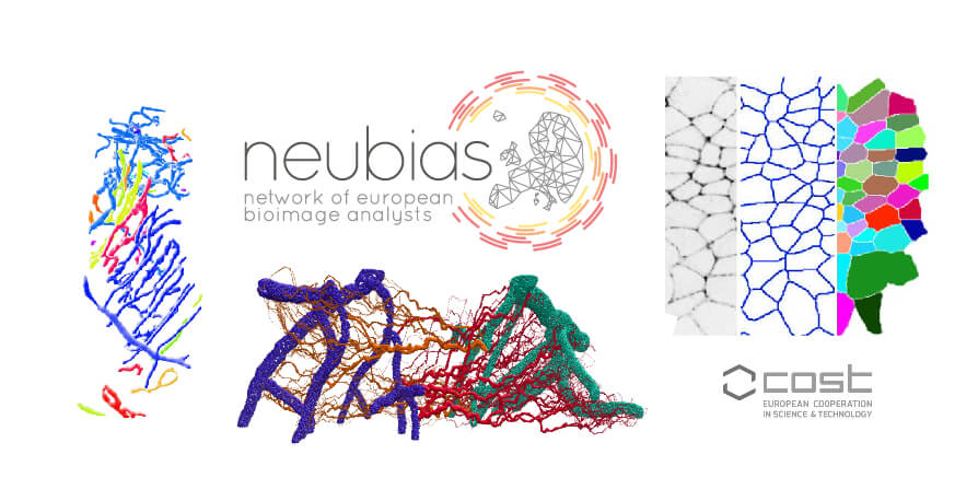 Más de 5.000 solicitudes para participar en la red NEUBIAS coordinada por el IRB Barcelona