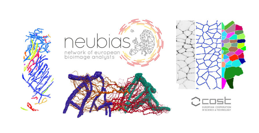 More than 5,000 applications received to participate in the NEUBIAS project coordinated by IRB Barcelona