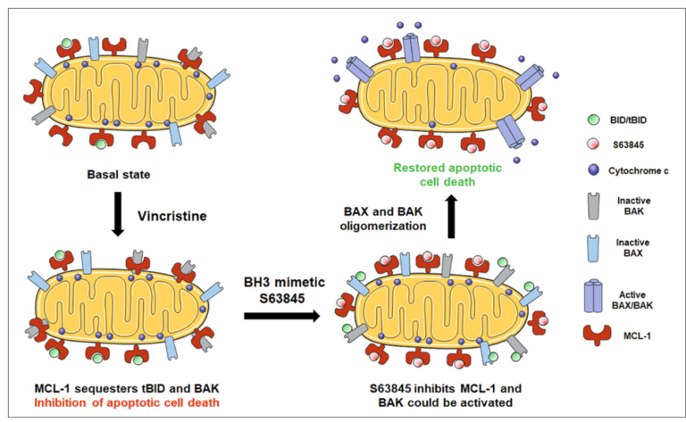 New method could help to find the best treatment for a pediatric cancer