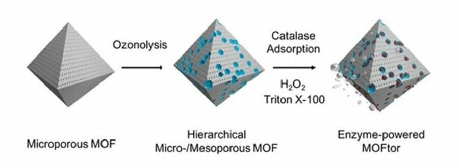 Investigadors de l’IBEC desenvolupen micromotors impulsats per enzims basats en materials organo-metàl·lics porosos