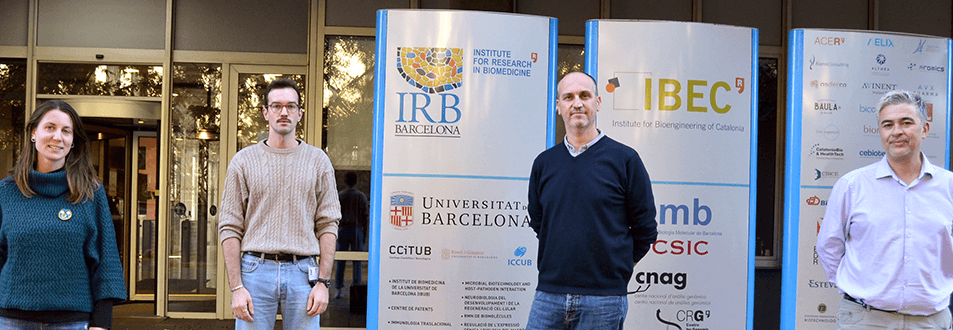 An IRB Barcelona project to develop new drugs for prostate cancer receives funding from the 1st AECC Innova call