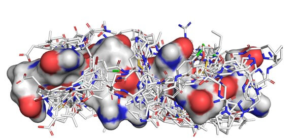 Diseñan el primer fármaco con inteligencia artificial para la enfermedad de Huntington