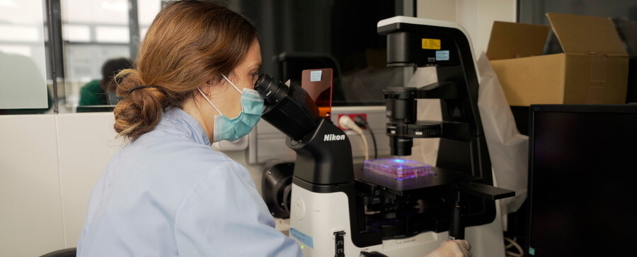 El IRB Barcelona se alía con la biotech Galapagos para validar dianas de fármacos senolíticos