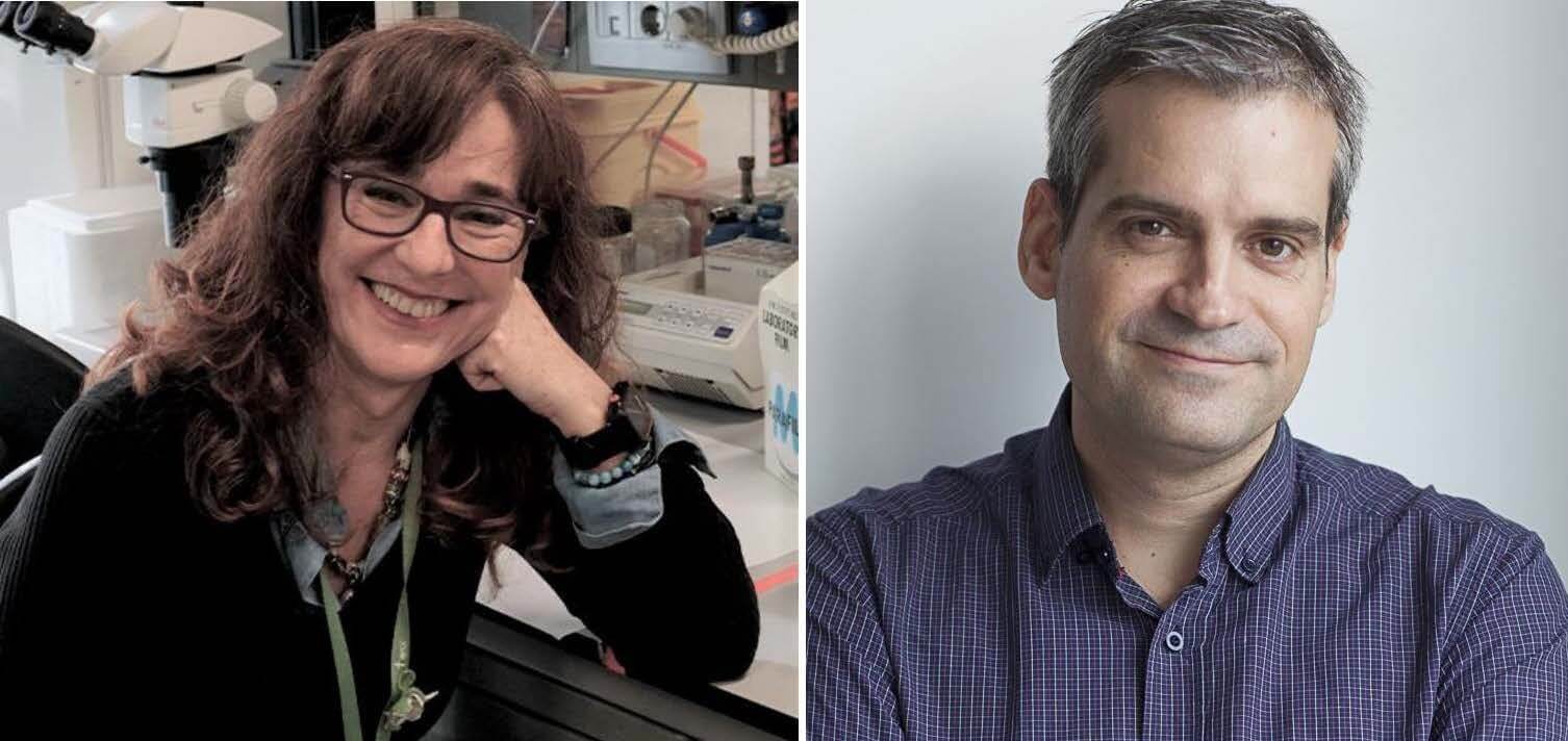 Dra. Elisa Martí and Dr. Toni Gabaldón, new EMBO members