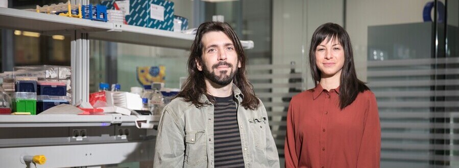 European Research Council backs two talented young scientists at IRB Barcelona