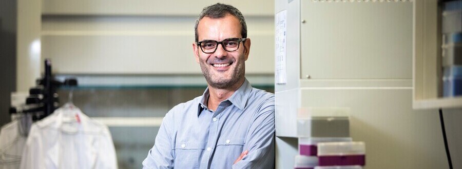 Salvador Aznar-Benitah wins the Clinical Biomedical Research Award from the Lilly Foundation