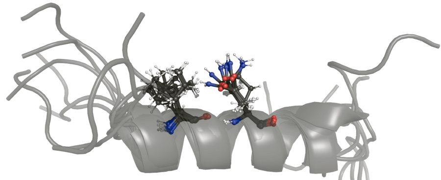 Researchers at IRB Barcelona create a tool to block protein-protein interactions