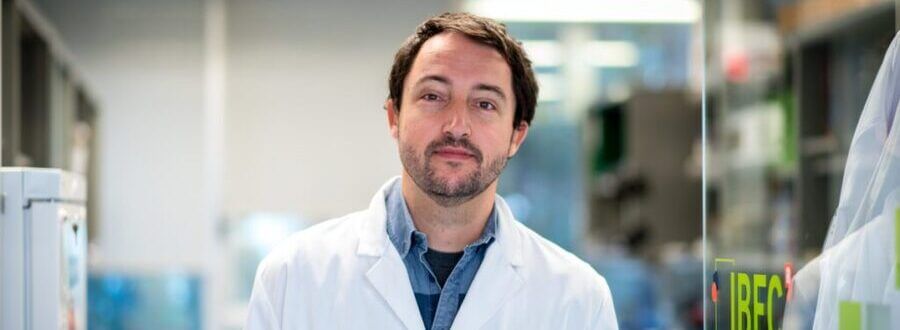 IBEC researcher Pere Roca-Cusachs awarded a prestigious ERC Advanced Grant