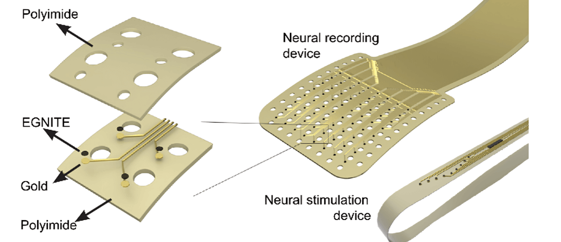 Innovative graphene-based technology paves the way for high-precision therapeutic applications