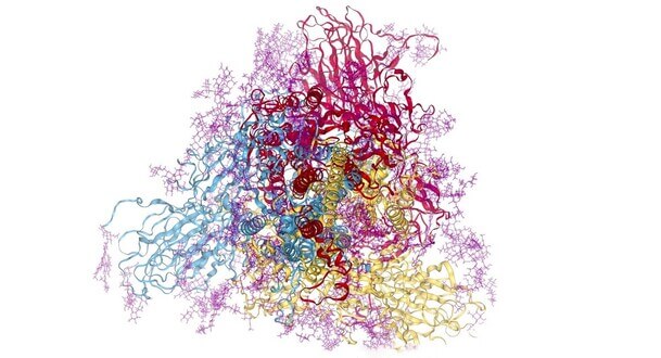 BioExcel-CV19: un gran avenç en la comprensió de les proteïnes del SARS-CoV-2