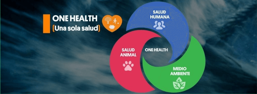 La nostra salut depèn de la salut animal i de l’estat del medi ambient